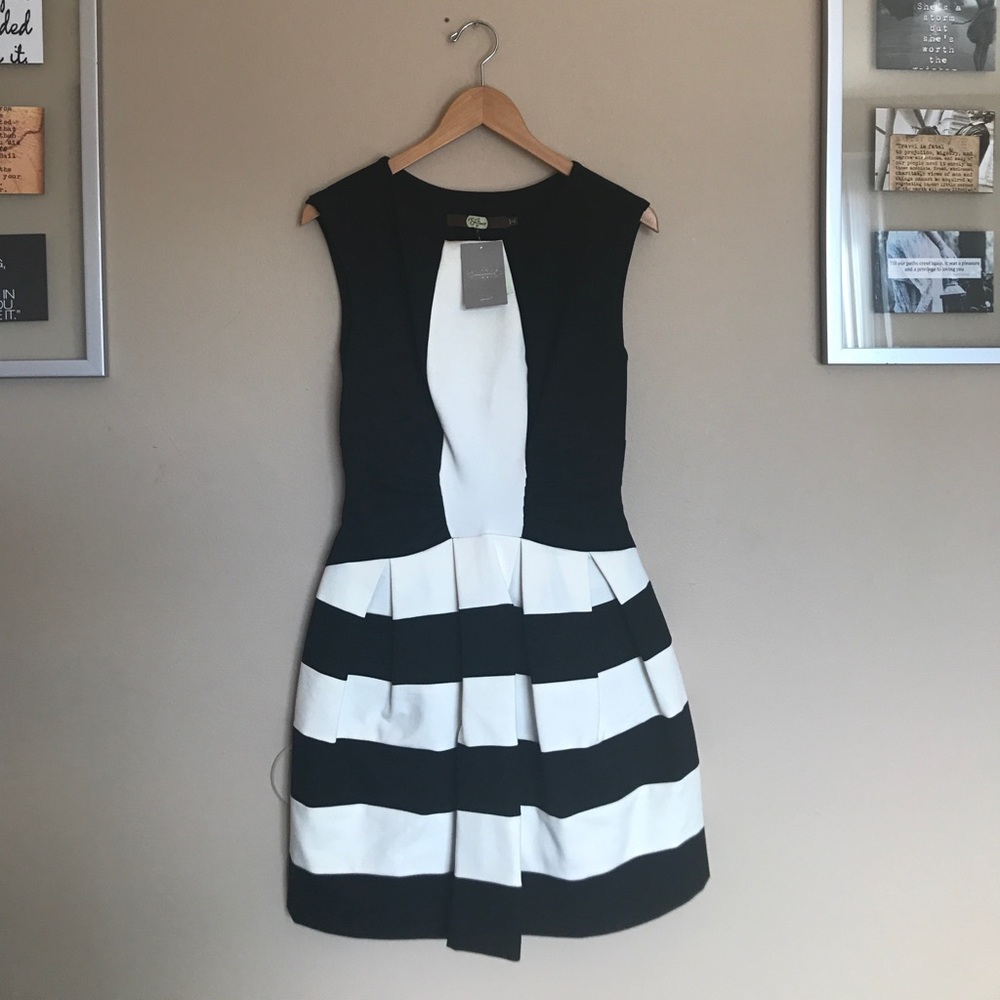 ANTHRO Eva Franco Hollie black & white dress - Picture 2 of 11